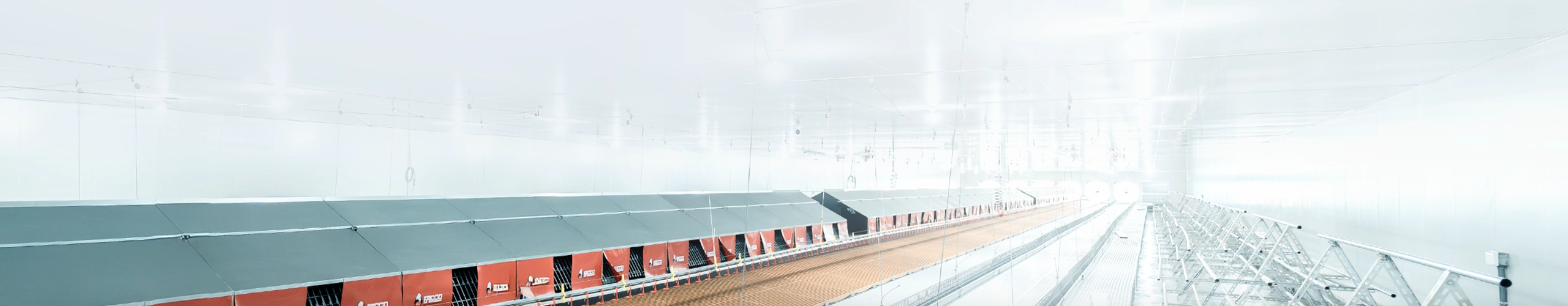 關於鼎泰banner